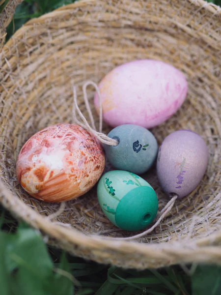 Aurora Eggs