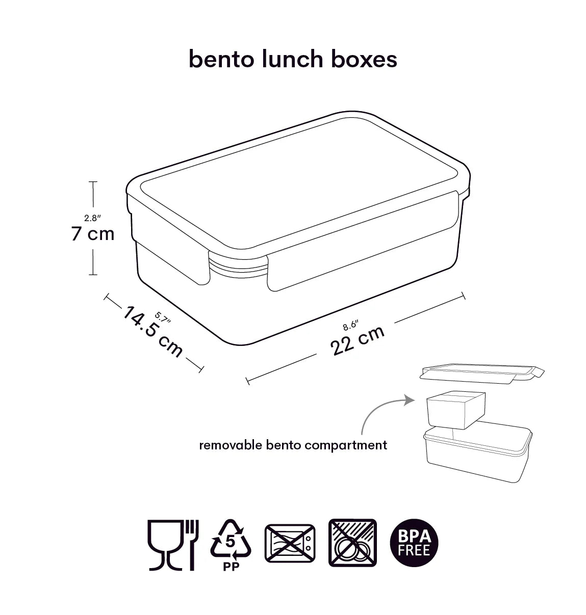 Bento Lunch Box: Fun