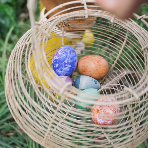Aurora Eggs