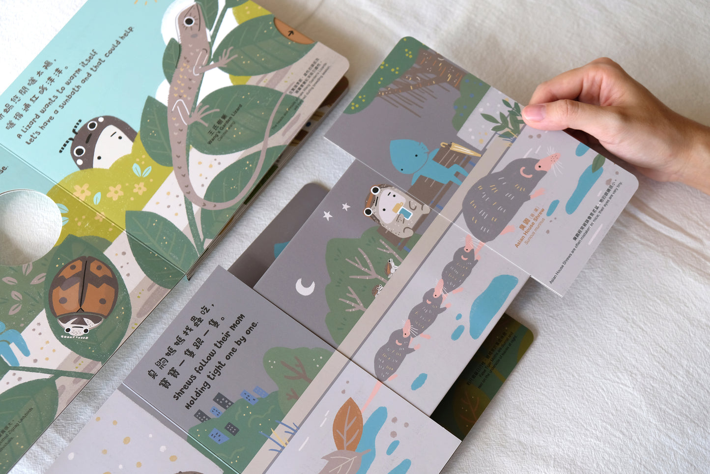 《我的野鄰居1&2》 My Wild Neighbours 1&2 （set of two)