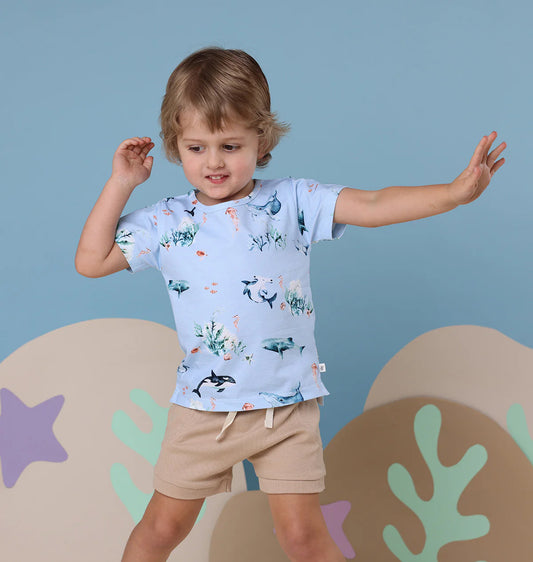Pebble Organic Shorts [Size 4]
